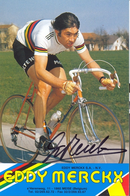  Eddy Merckx  1.jpg